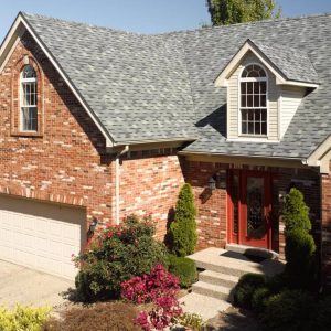 Patriot - Graystone color